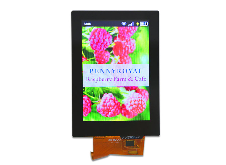 Color LCD Module